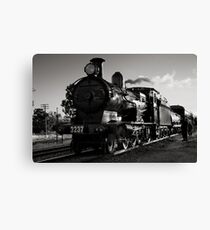 surprise at Stockinbingal Canvas Print