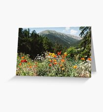 Mountain garden Greeting Card
