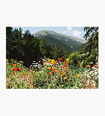 Berggarten Fotodruck