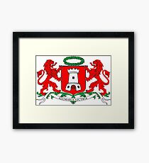Alkmaar Coat of Arms, Netherlands Framed Print