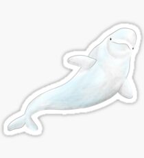 Beluga Whale Stickers | Redbubble