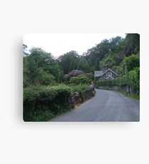 Country Lane Canvas Print