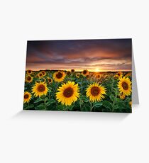 Here comes the Summer Greeting Card
