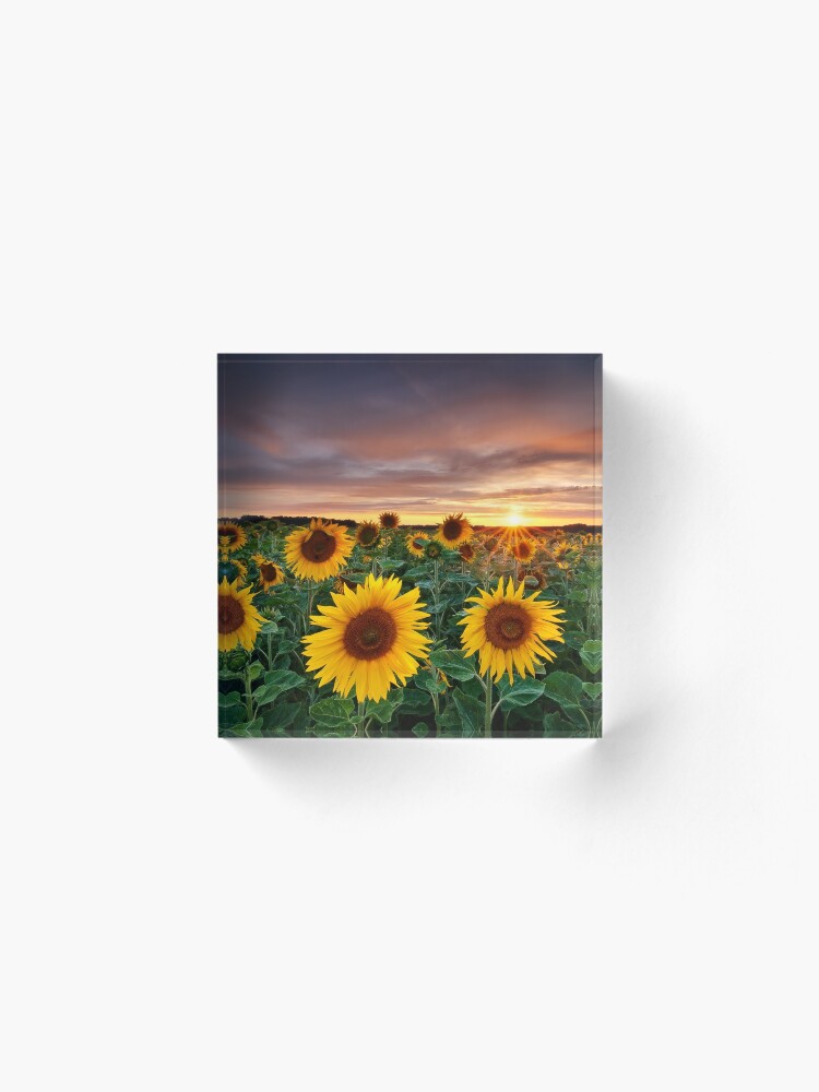 Alternate view of Here comes the Summer Acrylic Block