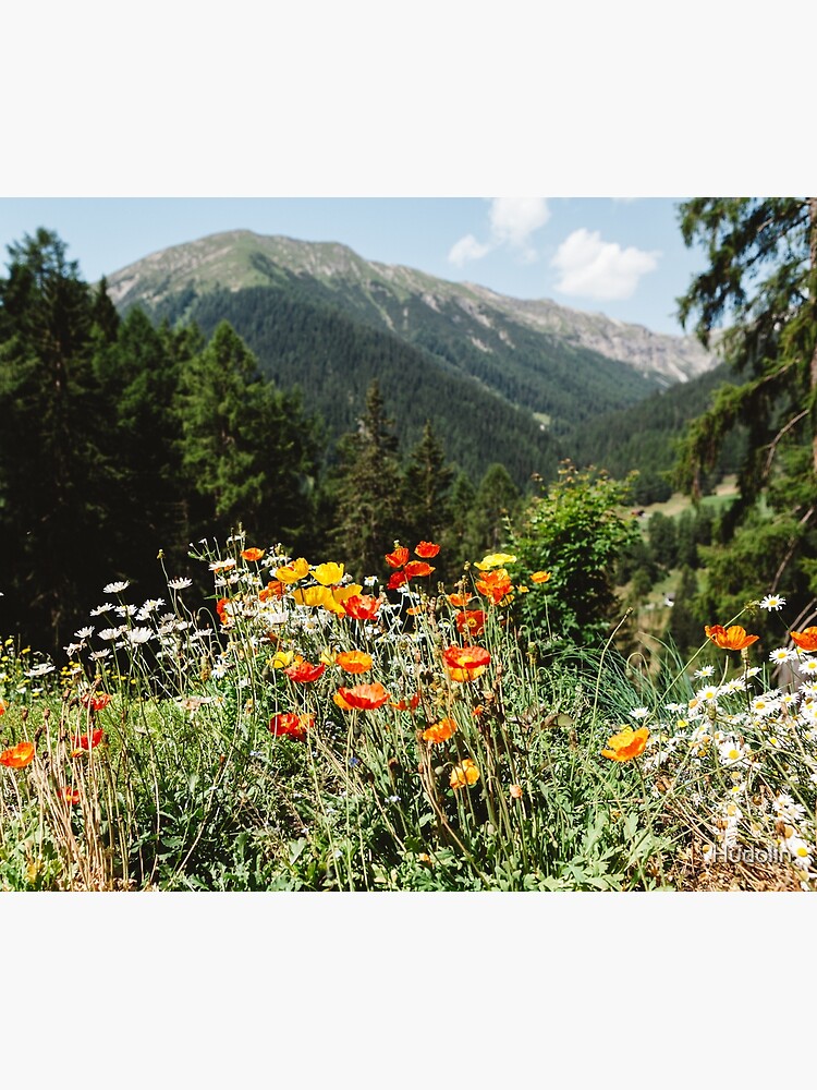 Mountain garden by Hudolin