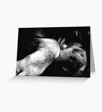 Holly Greeting Card