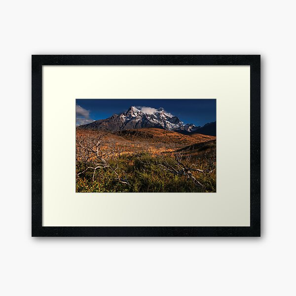 Death and life Framed Art Print