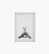 Rabbit 20 Galeriedruck