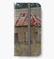 Ruin iPhone Wallet/Case/Skin