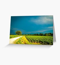 Storm over the vineyard Greeting Card