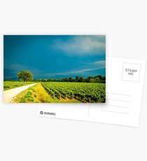 Storm over the vineyard Postcards