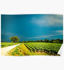 Storm over the vineyard Poster