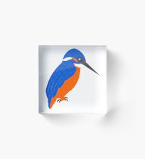 Blue And Orange Kingfisher Acrylic Block