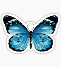 Blue Butterfly Stickers | Redbubble