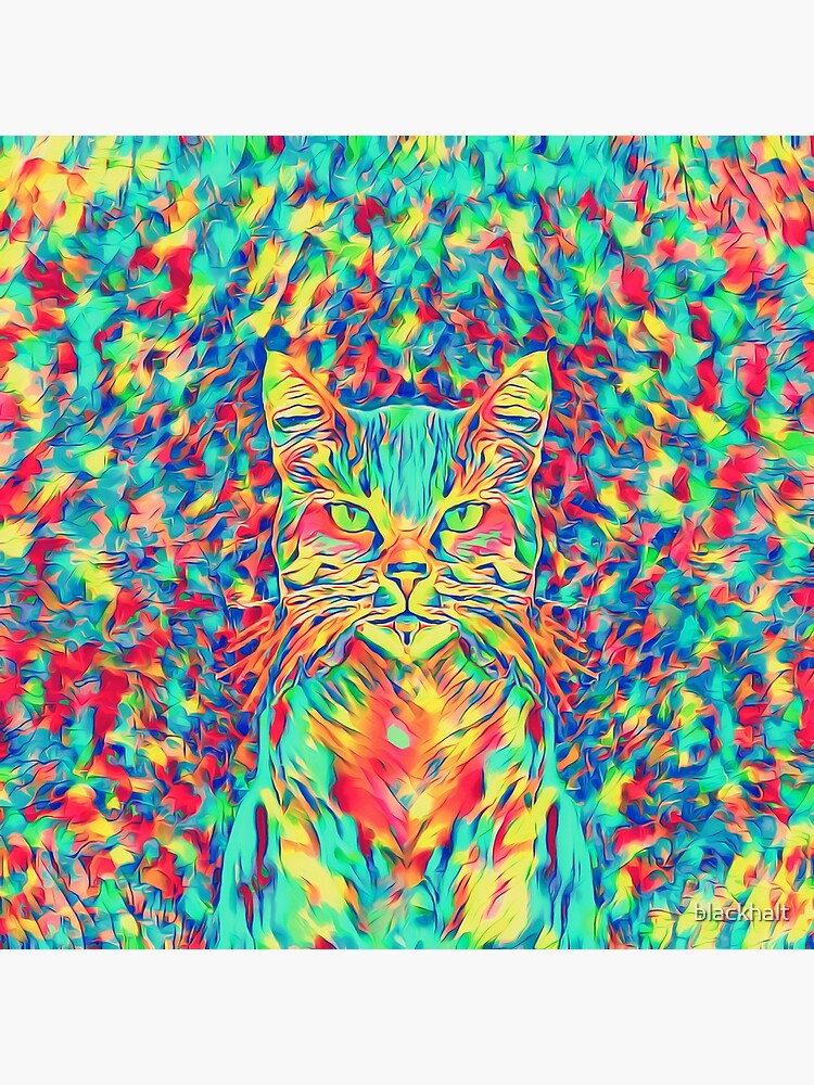 Color Cat by blackhalt