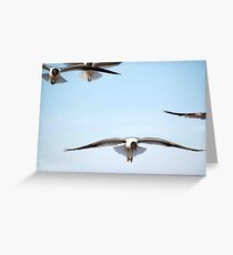 Flight Pattern Greeting Card
