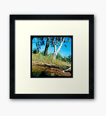 Milly's Creek Framed Print