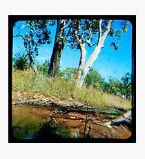 Milly's Creek Photographic Print
