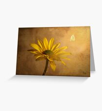 Expectant Greeting Card