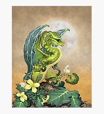 Broccoli Dragon Photographic Print