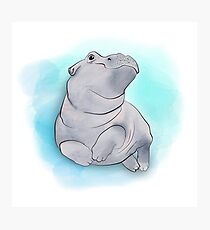 Fiona das Baby-Flusspferd-Schwimmen Fotodruck