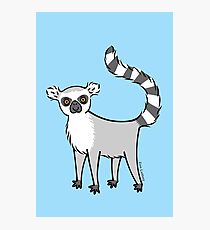 Ring Tailed Lemur Photographic Print