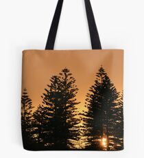 Dawn through Pines Tote Bag