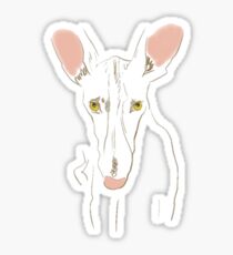 Podenco Canario Sticker