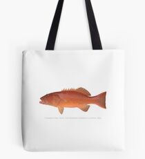 Coral Trout (Plectropomus leopardus) Tote Bag