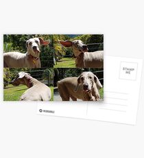 Dakota Postcards