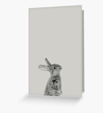 Rabbit 08 Grußkarte