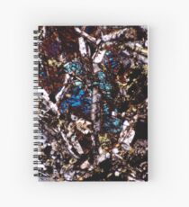 Pyroxene and Feldspar Spiral Notebook