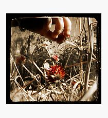 In the Land of Giants Photographic Print