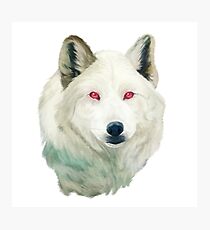 Ghost Direwolf Photographic Print