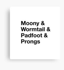 Moony, Wormtail, Padfoot, & Prongs Canvas Print