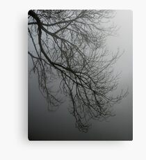 Branches in the mist Canvas Print