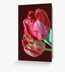 Two Red Tulips Vector Greeting Card