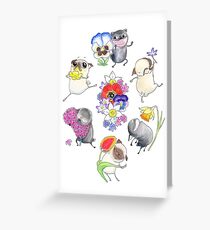 Pugs Primavera Greeting Card