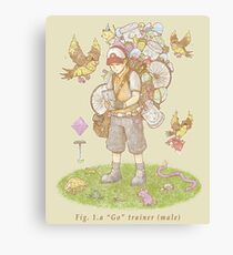 GO TRAINER male Canvas Print