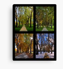 The Four Seasons at Colorado State University's Oval Canvas Print