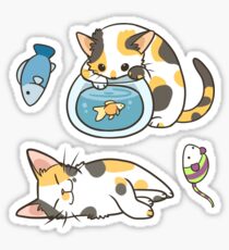 Calico cats Sticker