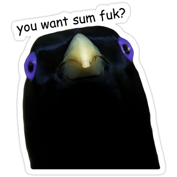  You Want Sum Fuk Stickers By Ashejia Redbubble