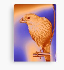 Finch - Silkscreen Canvas Print