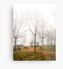 Invierno nebuloso Metal Print