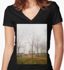 Invierno nebuloso Women's Fitted V-Neck T-Shirt