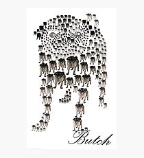 Butch Photographic Print