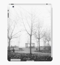 Invierno nebuloso B/N iPad Case/Skin