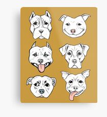 Pittie Pittie Please! 2 Metal Print