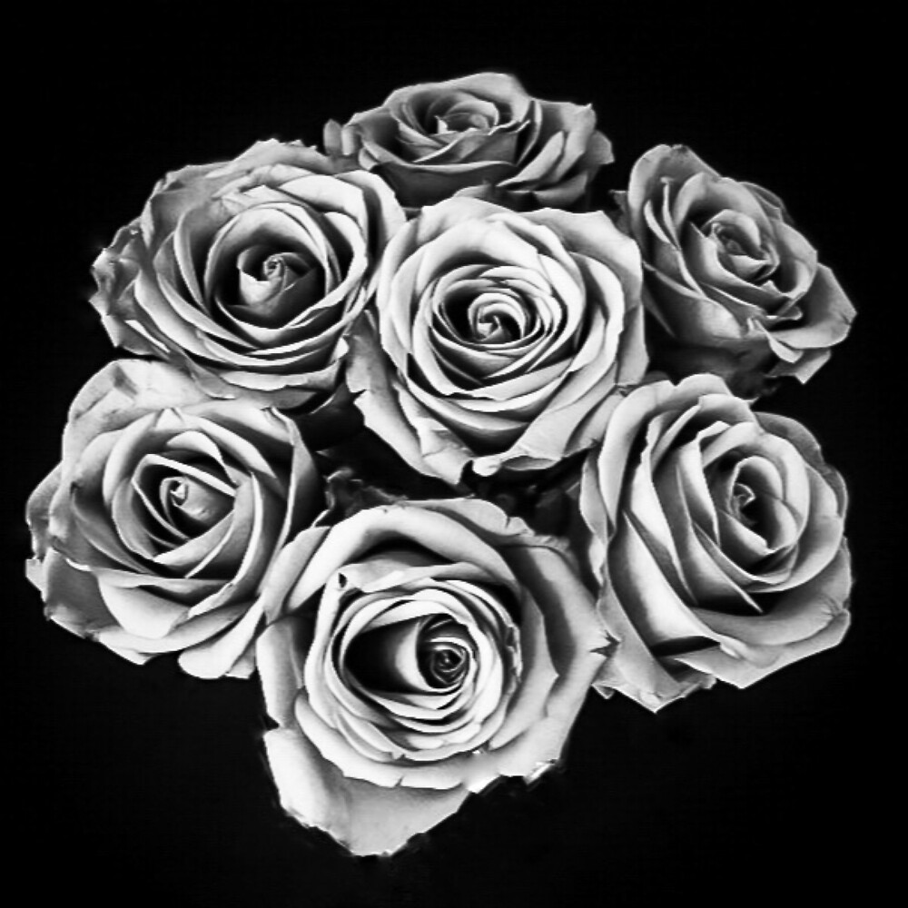 Pewter Rose by Jacqueline Cooper