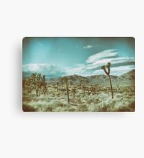 Joshua Tree Canvas Print